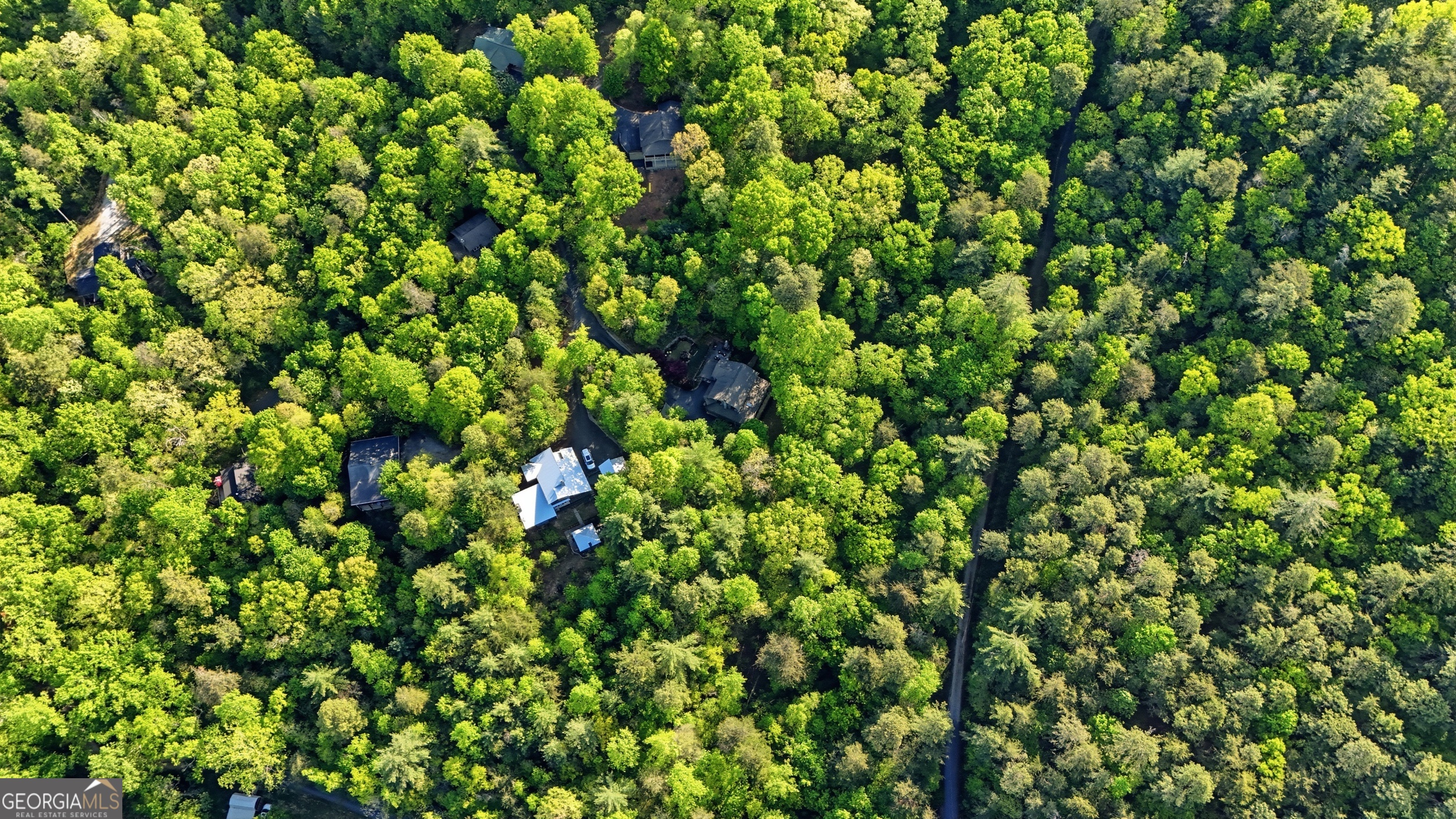 319 Mystic View Lane Clayton GA 30525