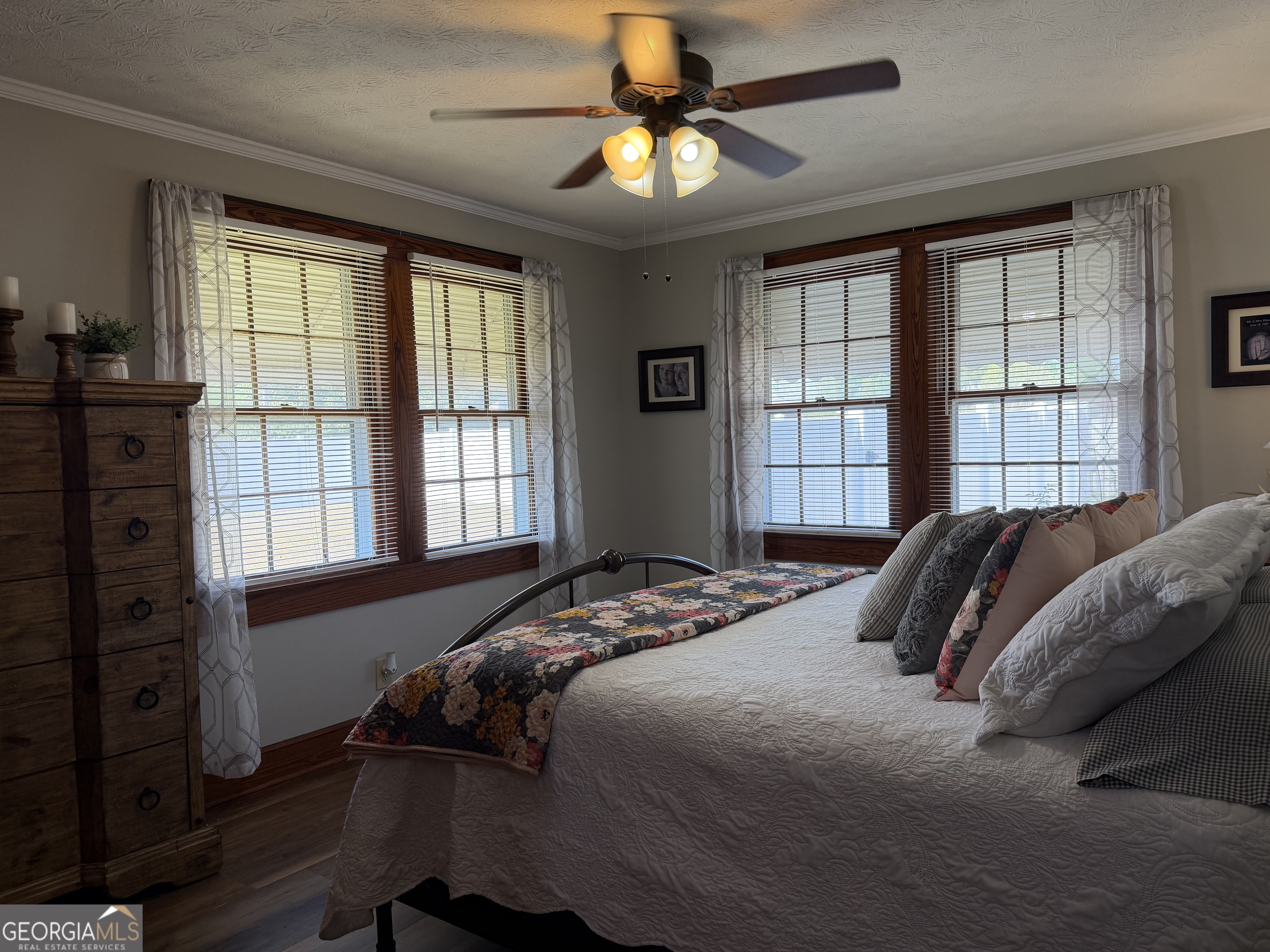 2 W Pearl Street Alamo GA 30411