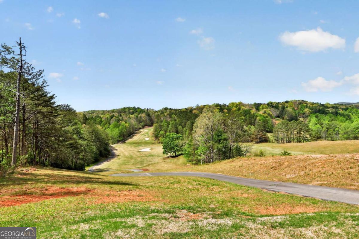 95 Sapulpa Court Ellijay GA 30540
