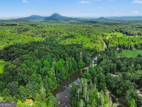 1008 River Estates Road Cleveland GA 30528