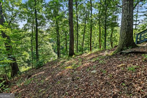 1008 River Estates Road Cleveland GA 30528