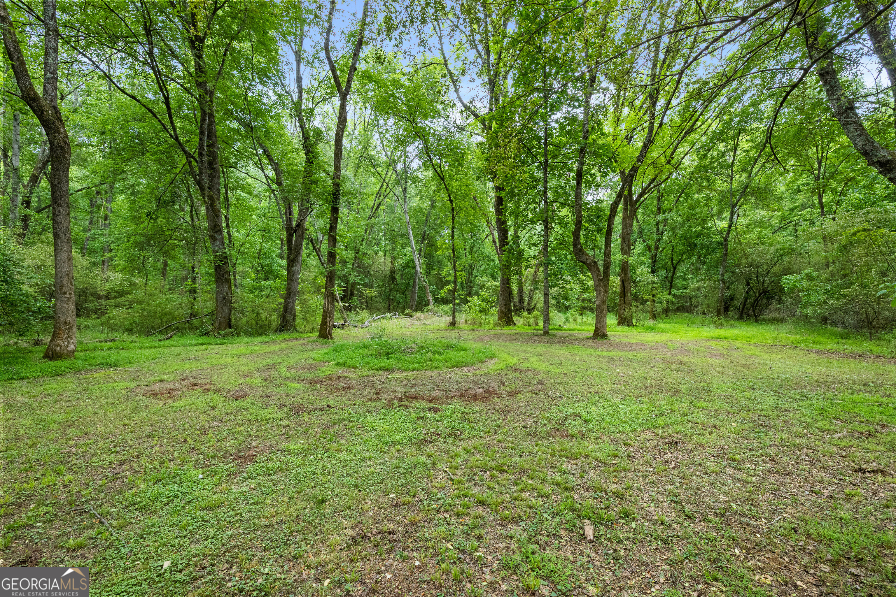248 River Park Drive Newnan GA 30265