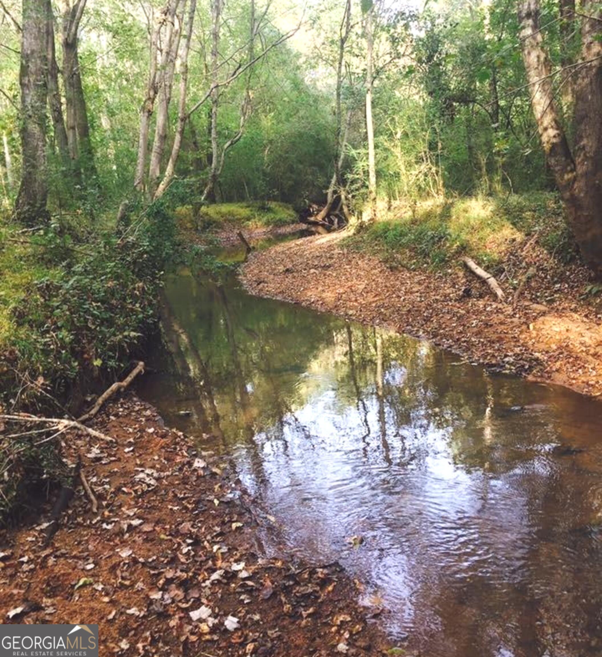 248 River Park Drive Newnan GA 30265