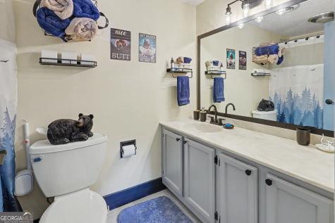 239 Shakespeare Drive Clayton GA 30525