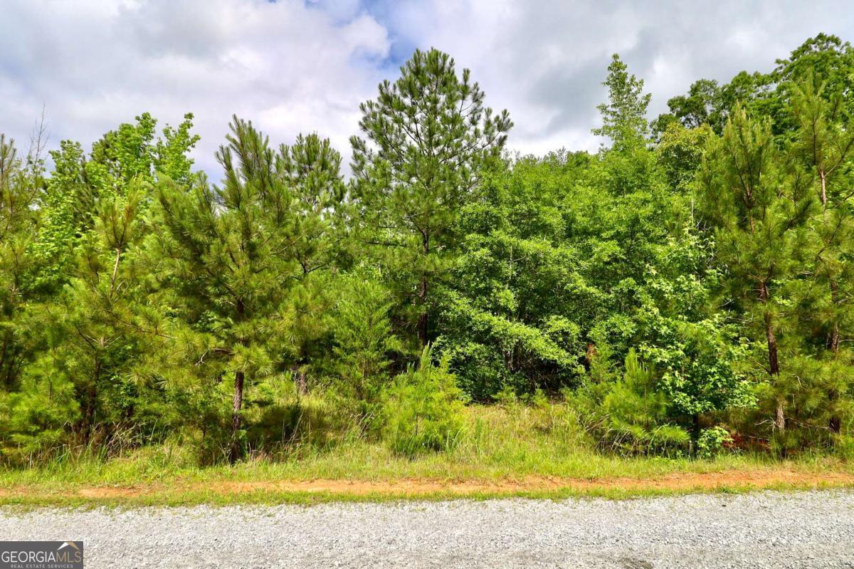 0 Millstone Creek Road Elberton GA 30635