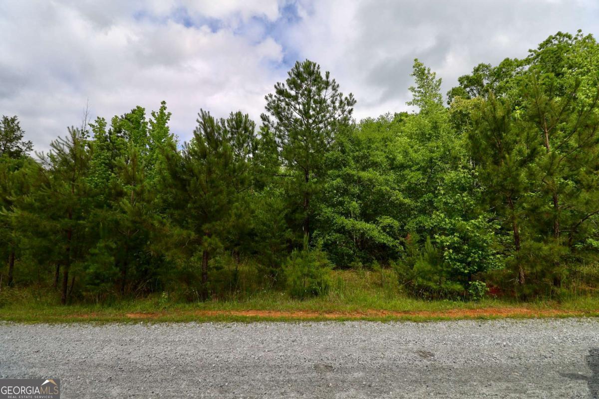 0 Millstone Creek Road Elberton GA 30635