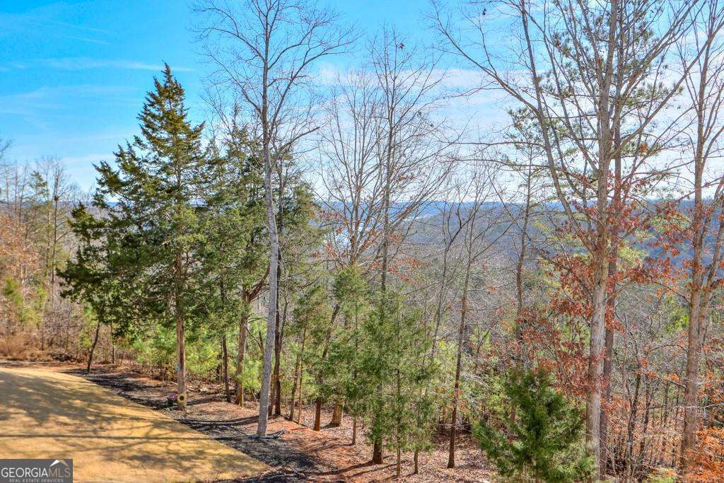 7410 Crestline Drive Dawsonville GA 30534