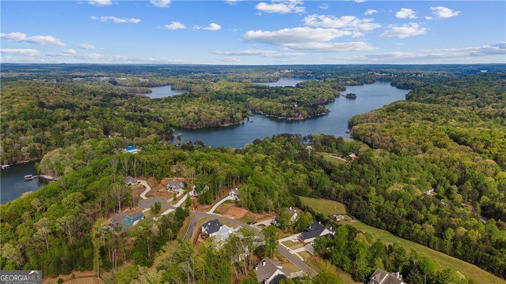 7410 Crestline Drive Dawsonville GA 30534