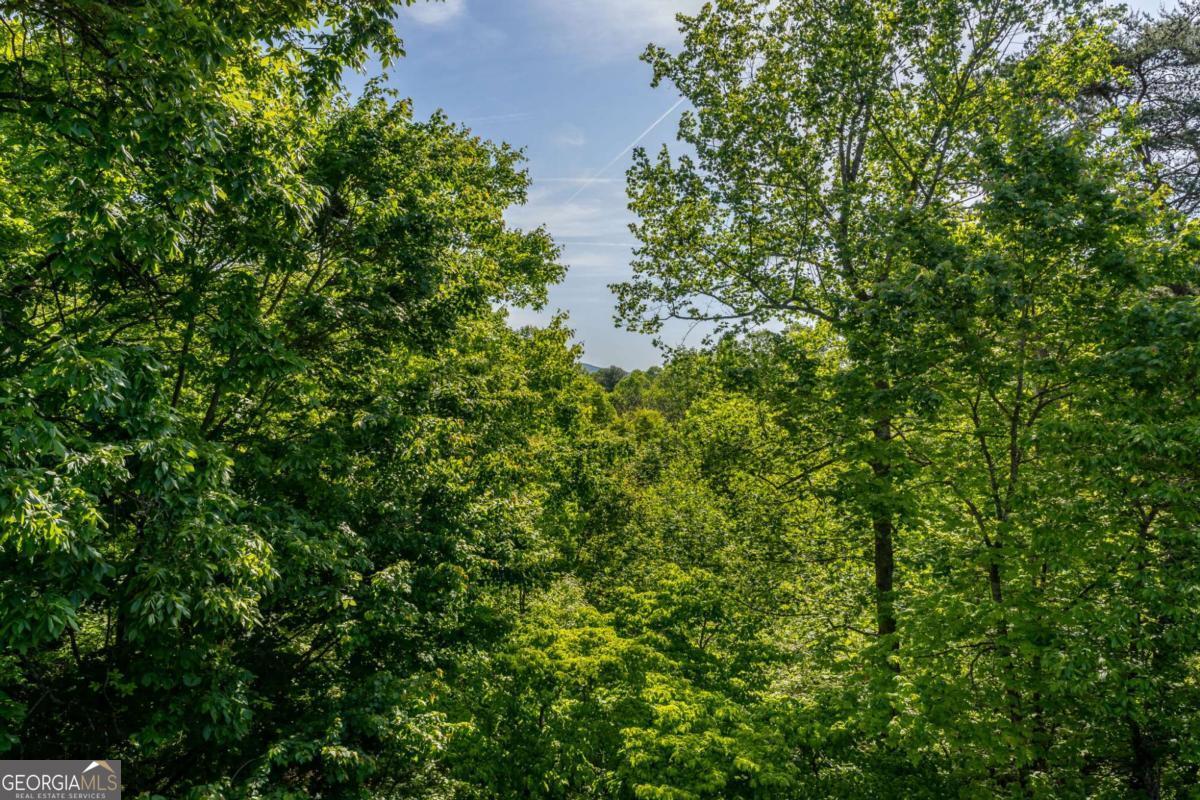 547 Echo Road Morganton GA 30560