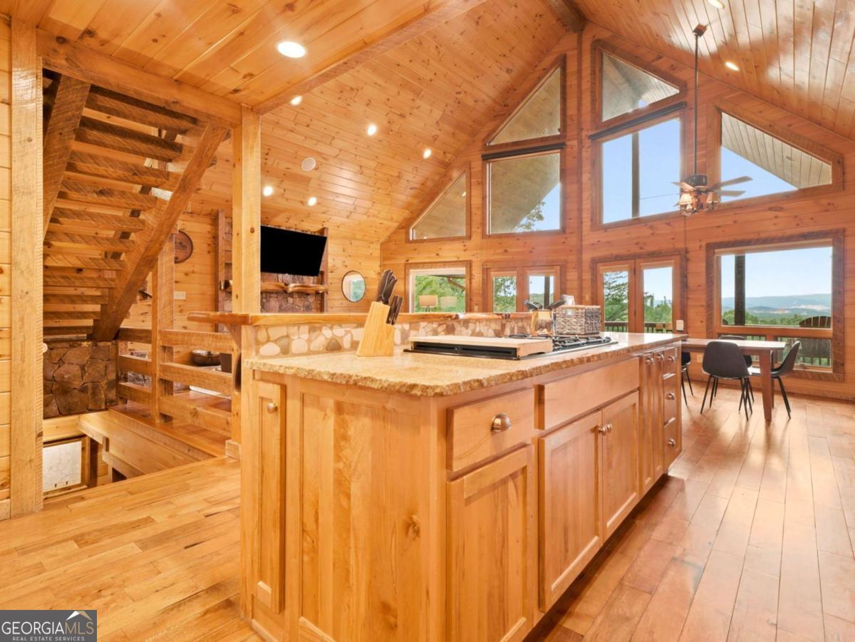 516 Endless View Road Mineral Bluff GA 30559