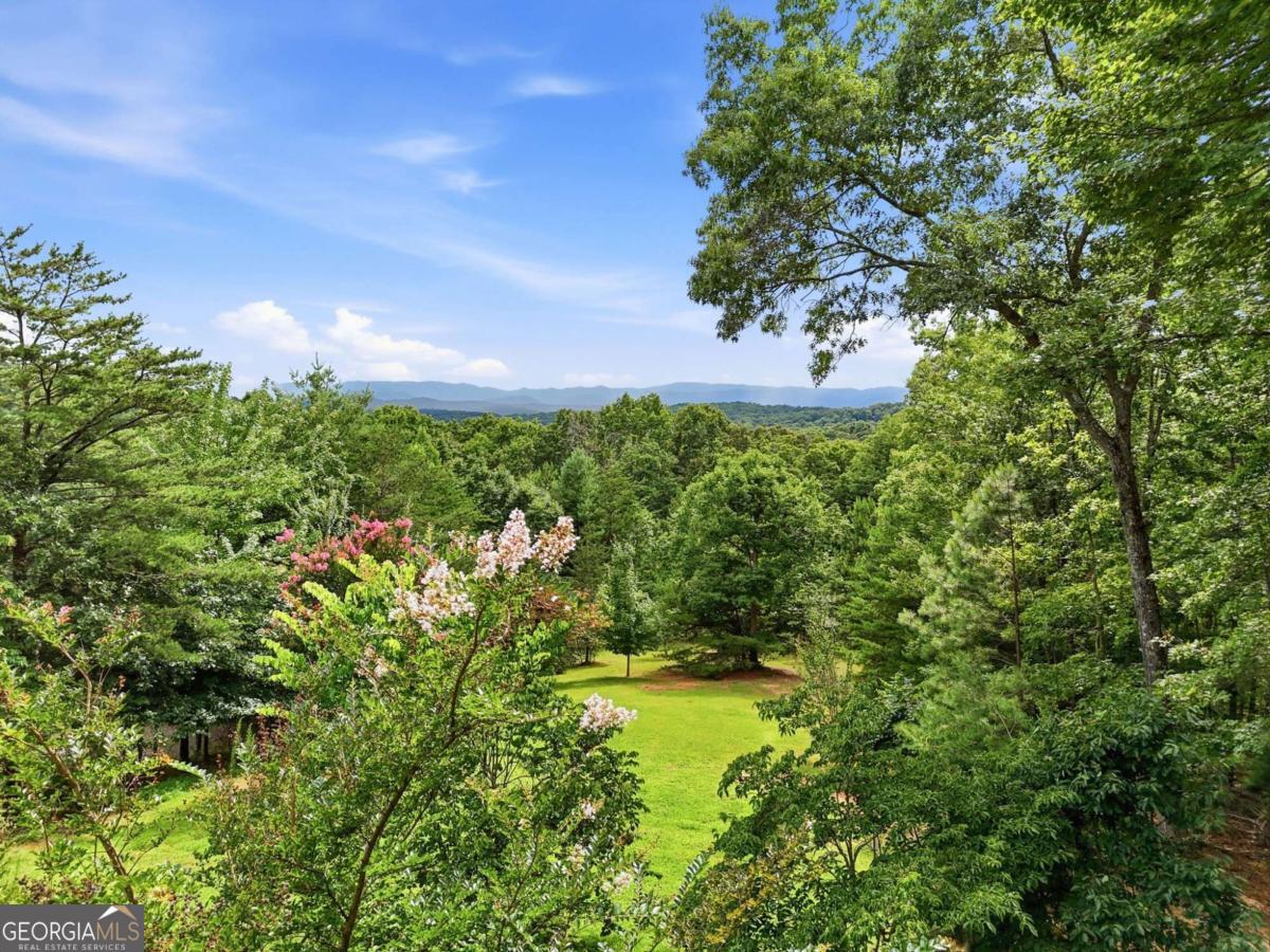 516 Endless View Road Mineral Bluff GA 30559