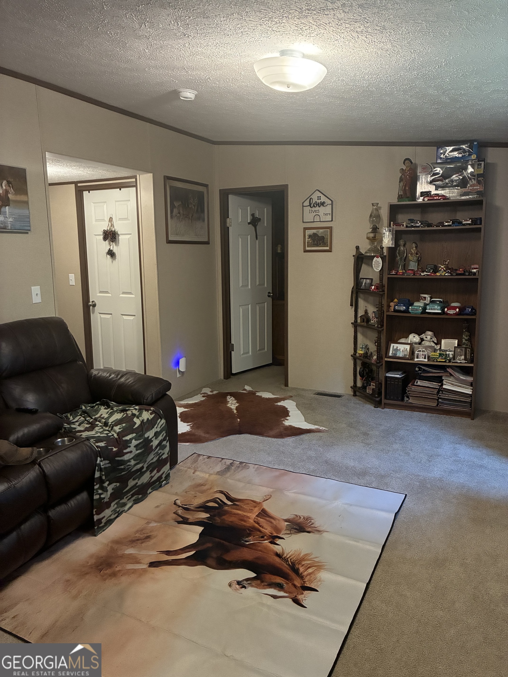 407 Knight Drive Ellijay GA 30540