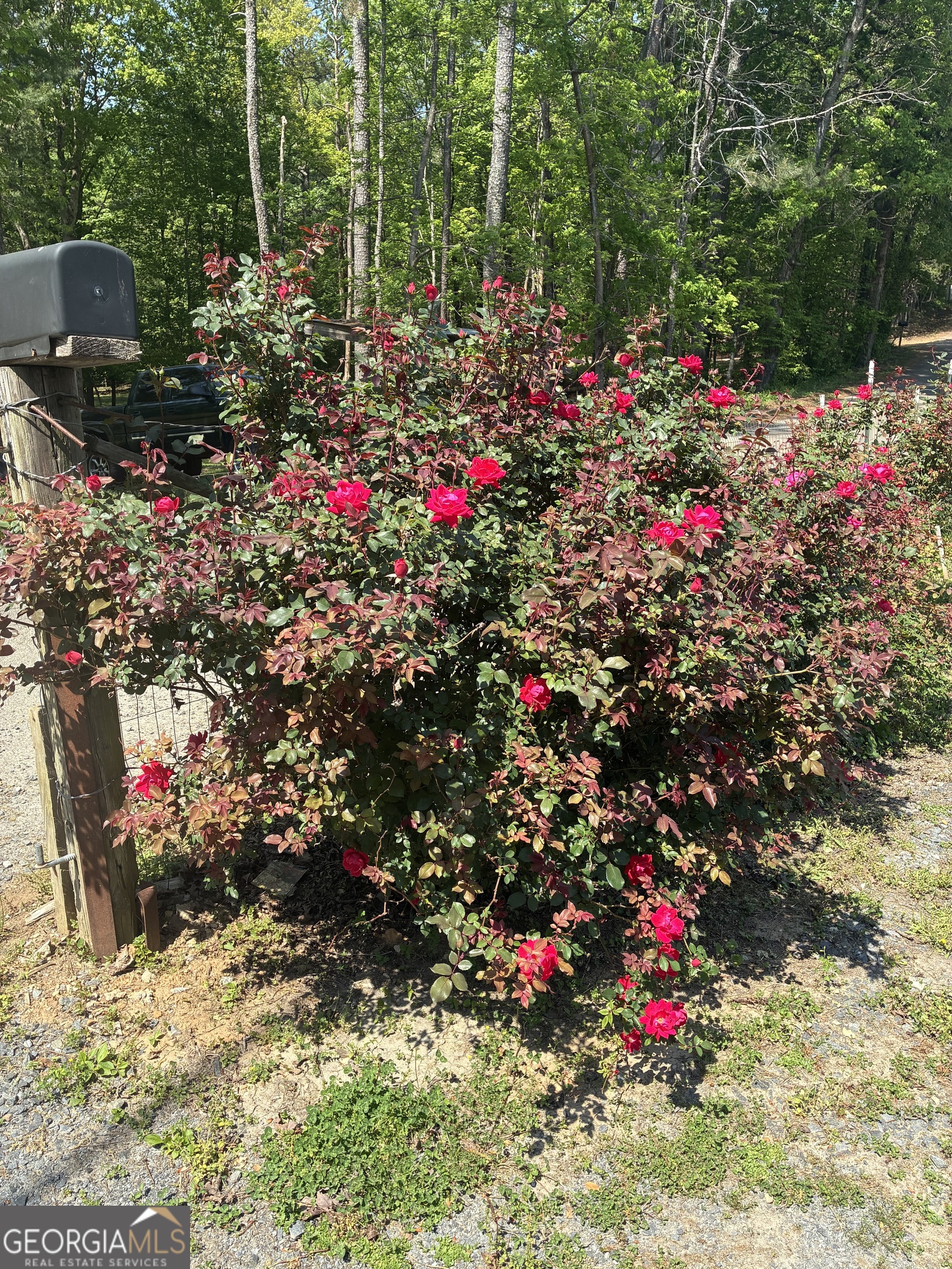 407 Knight Drive Ellijay GA 30540