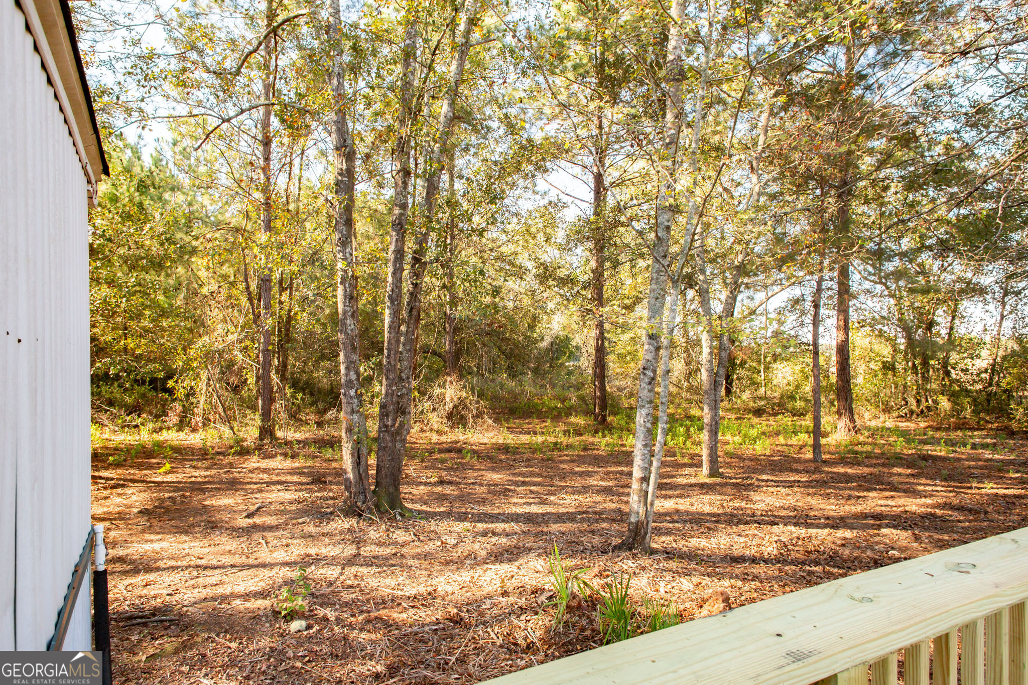 6005 Chancey Road Patterson GA 31557