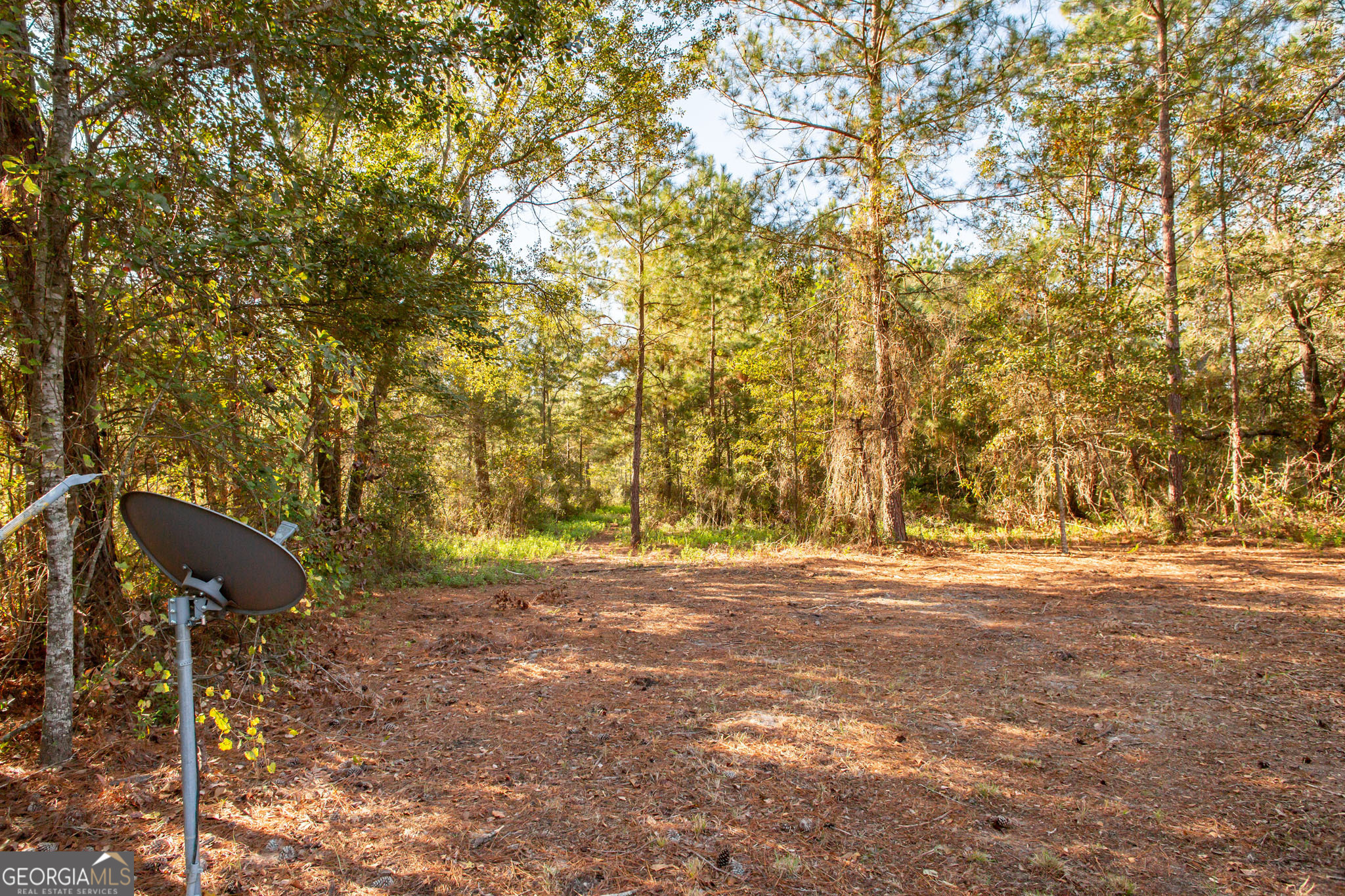 6005 Chancey Road Patterson GA 31557