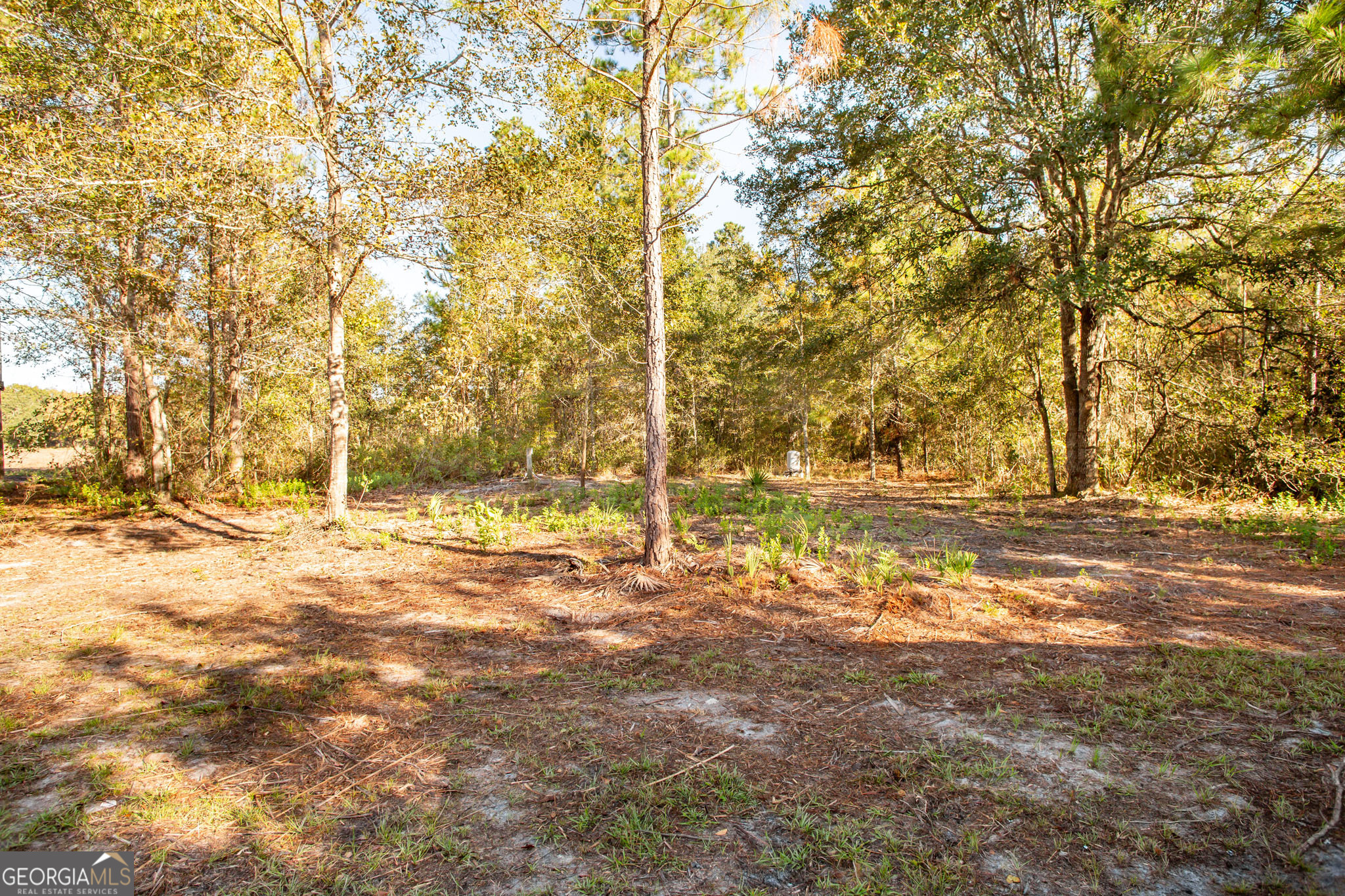 6005 Chancey Road Patterson GA 31557