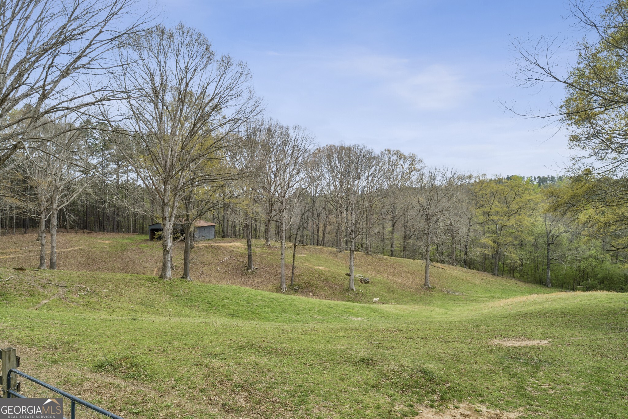 1137 Buchanan Highway Dallas GA 30157
