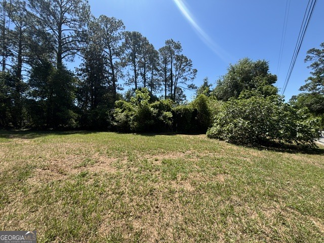117 Fifth Avenue Mcrae-helena GA 31055