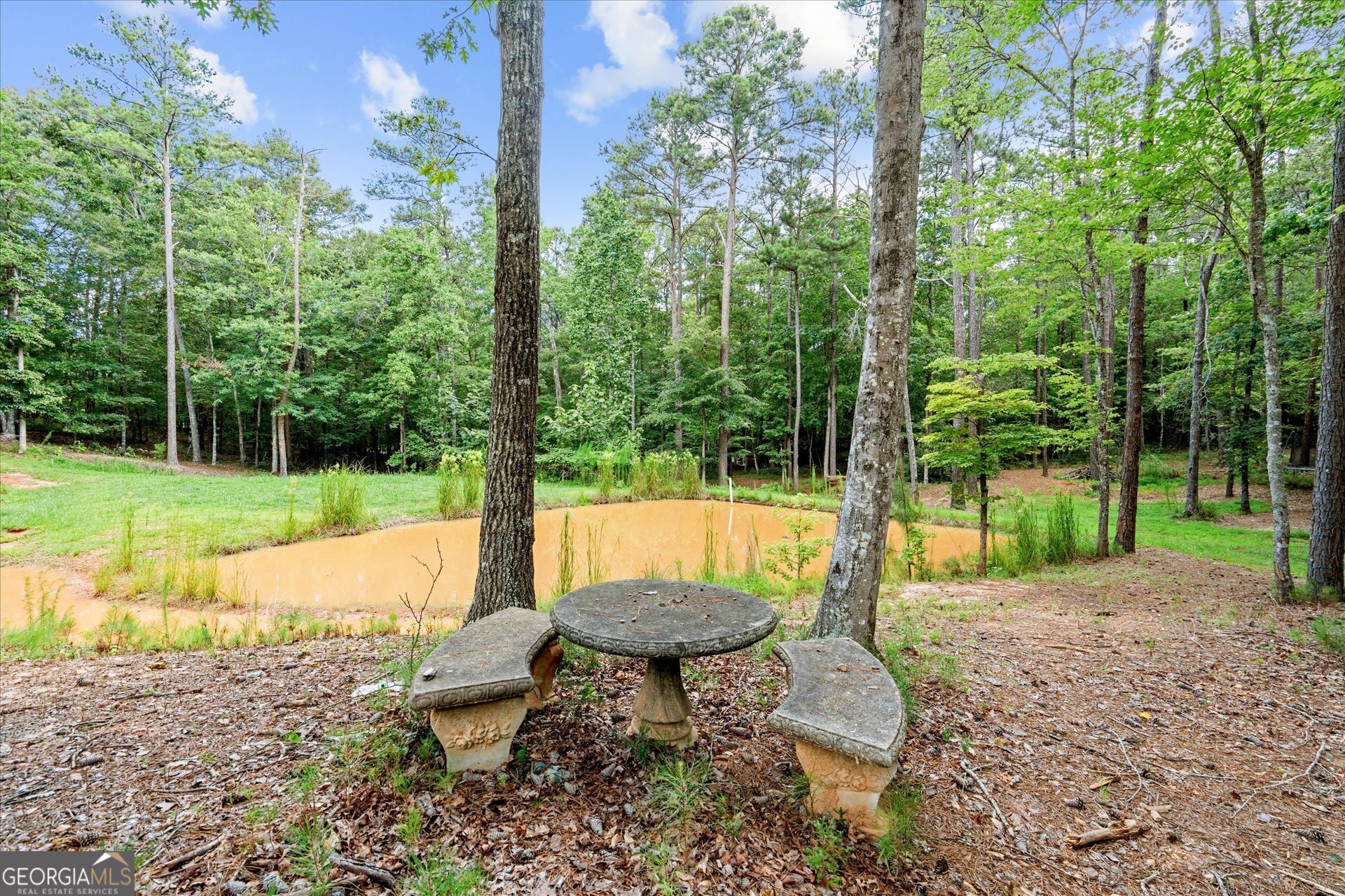9790 Court Lynn Lane Winston GA 30187