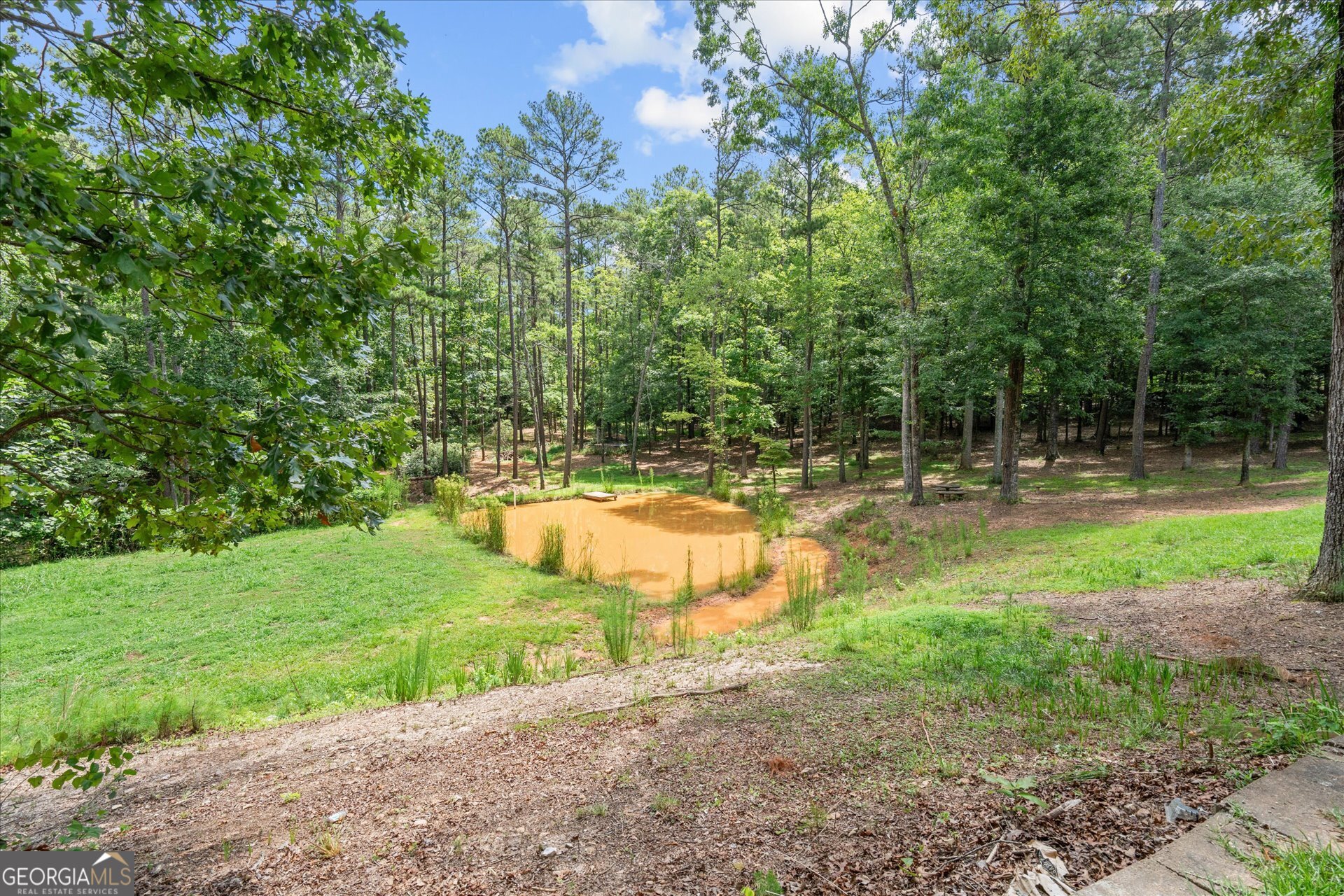 9790 Court Lynn Lane Winston GA 30187