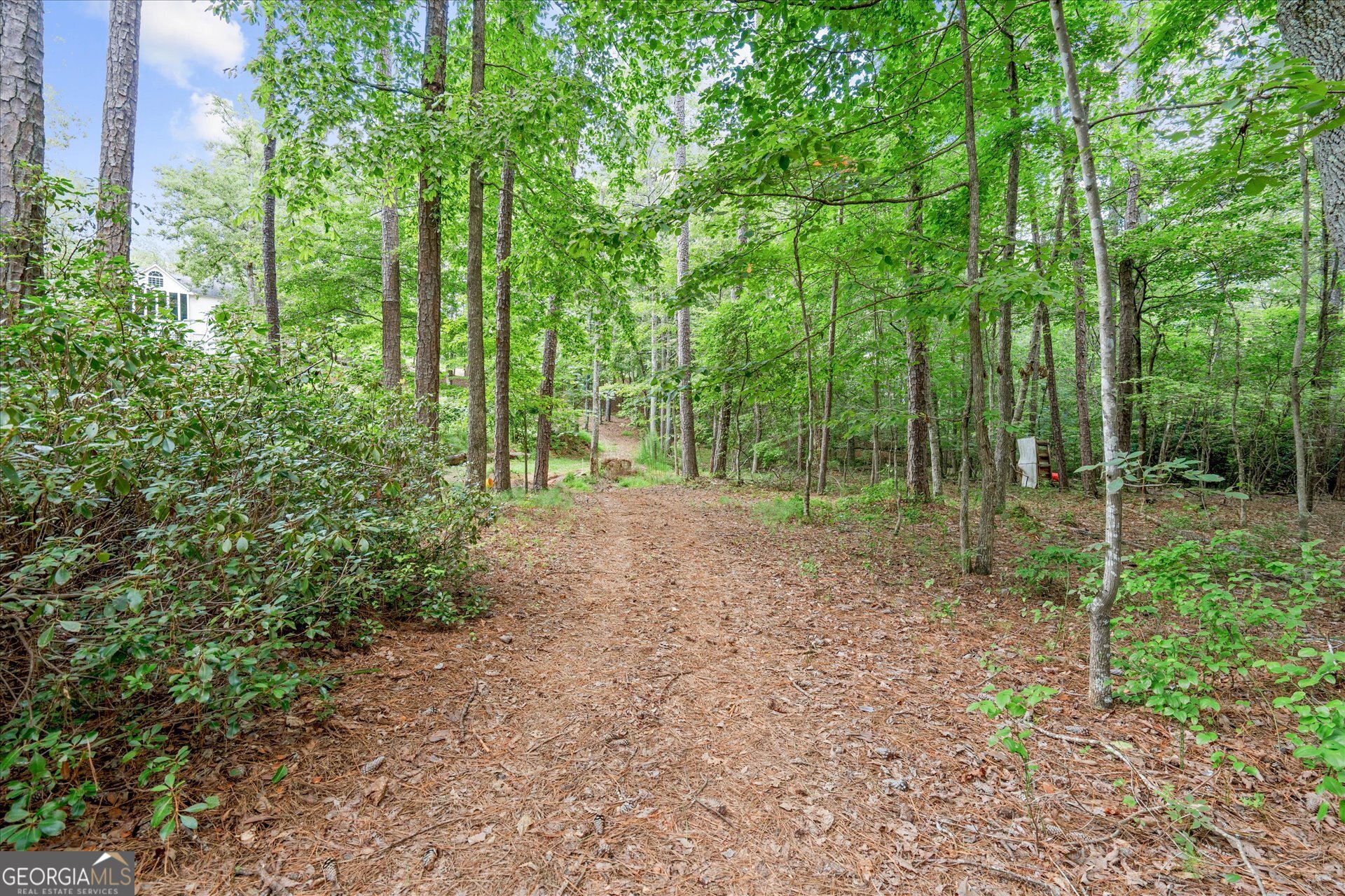 9790 Court Lynn Lane Winston GA 30187