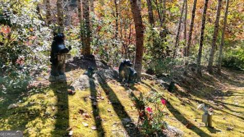2197 Pope Road Hiawassee GA 30546