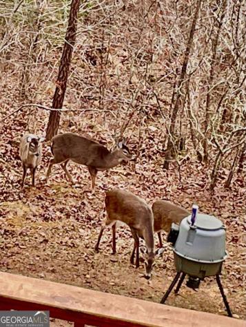 85 Flat Top Trail Murphy NC 28906