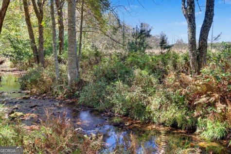 1110 Rocky Top Road Blairsville GA 30512