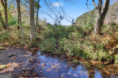 1110 Rocky Top Road Blairsville GA 30512