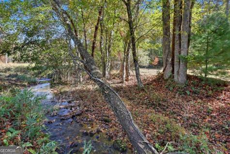 1110 Rocky Top Road Blairsville GA 30512