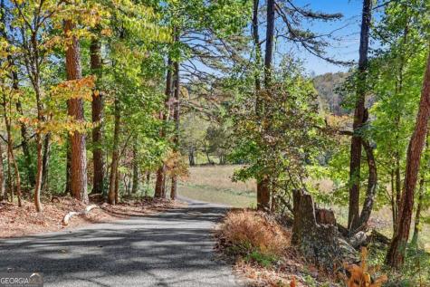1110 Rocky Top Road Blairsville GA 30512