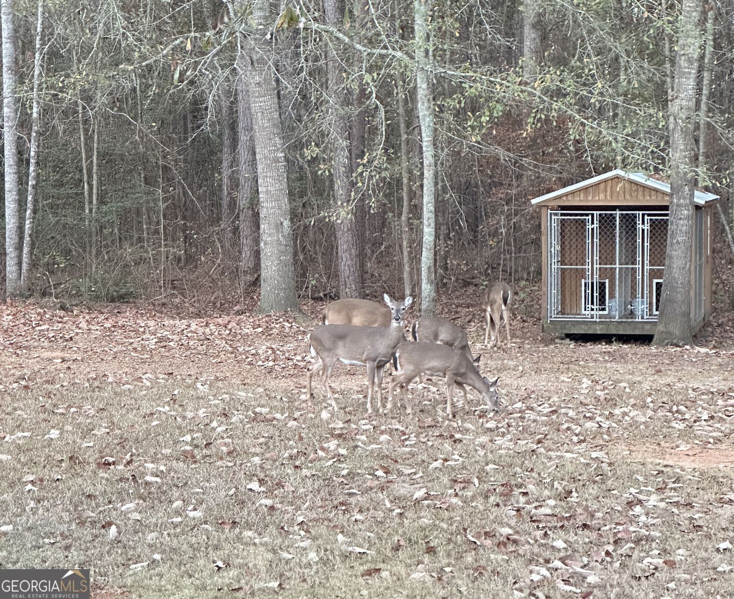 350 Lee Paul Road Hawkinsville GA 31036