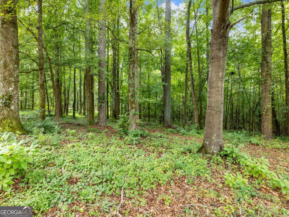 1334 Criswell Road SE Monroe GA 30655