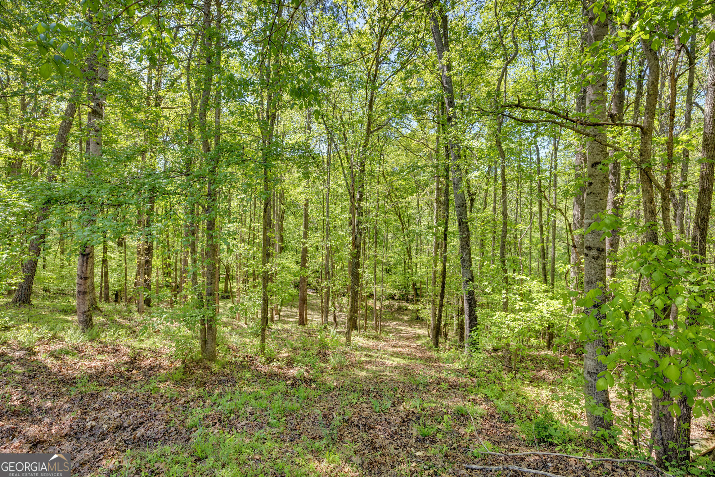 115 Crestview Lane Newborn GA 30056