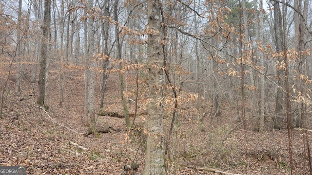 00 Lot2 N. Helton Road Winston GA 30187