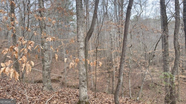 00 Lot2 N. Helton Road Winston GA 30187