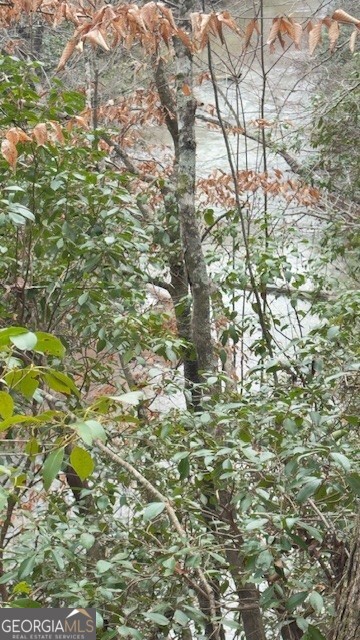00 Lot2 N. Helton Road Winston GA 30187