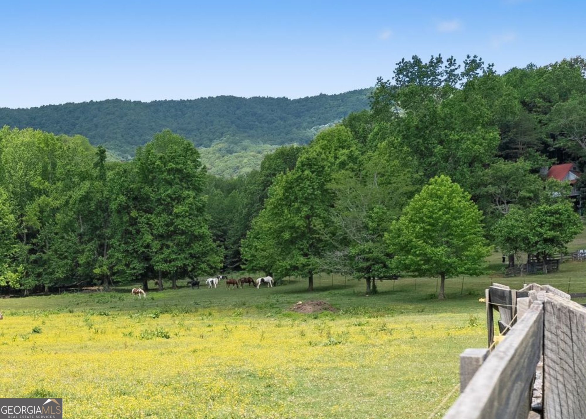 91 Magnificent Way Cleveland GA 30528
