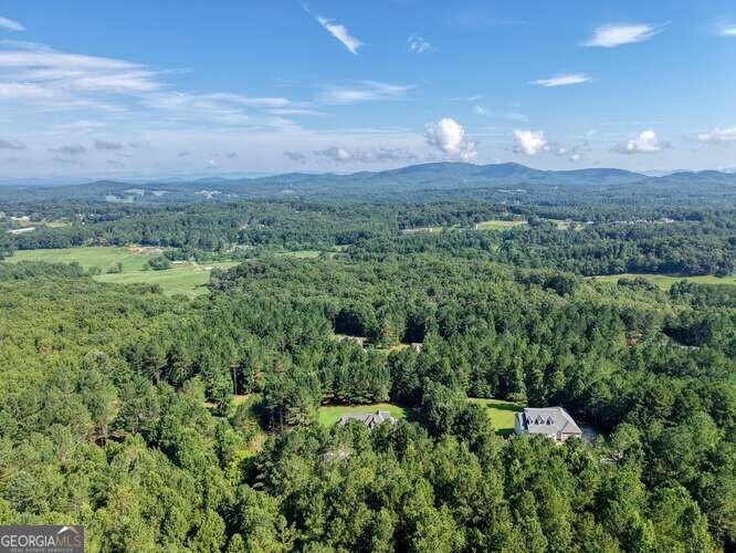 345 Loftis Mountain Way Blairsville GA 30512