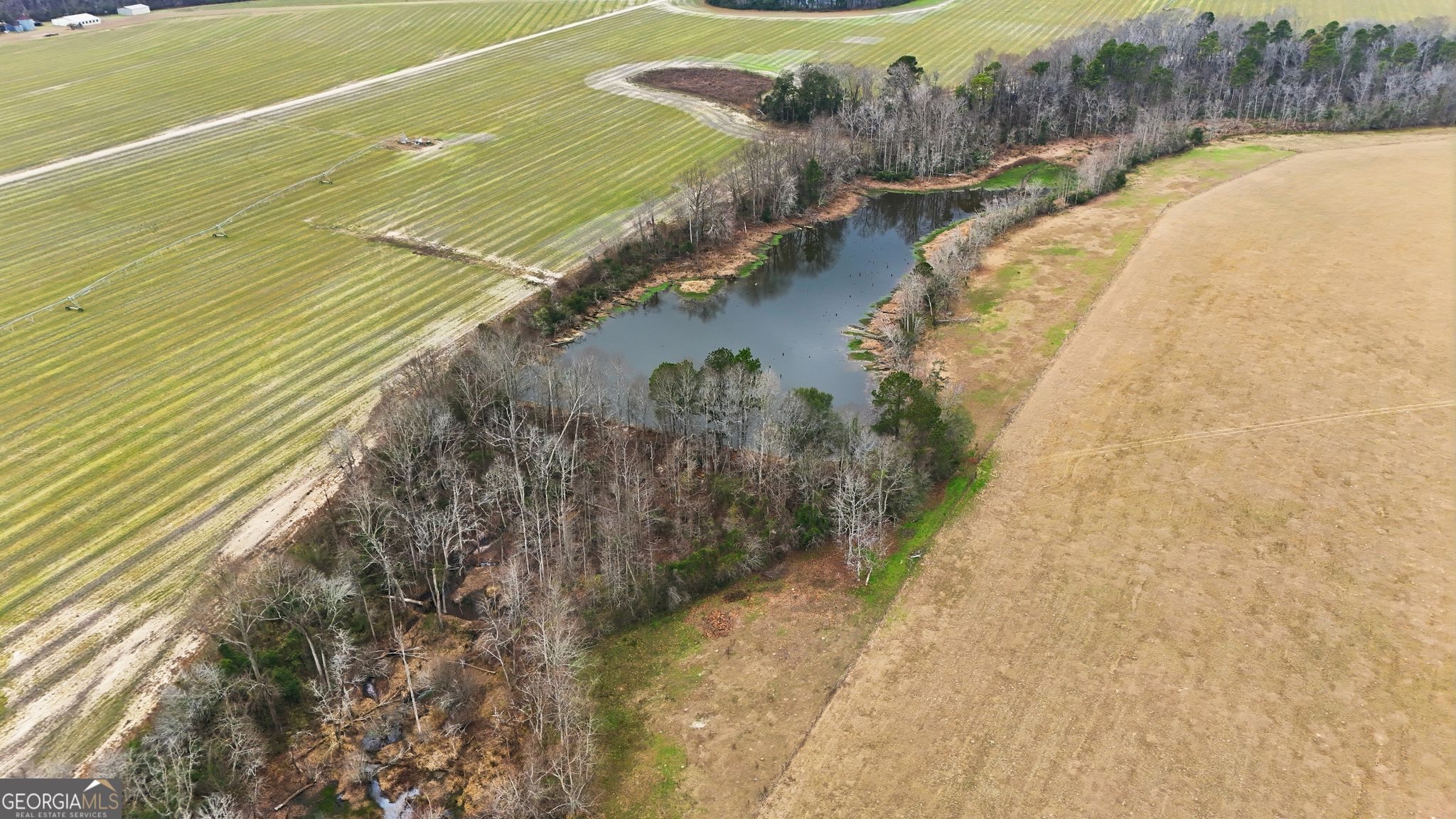 2368 Ogeechee Road Sylvania GA 30467