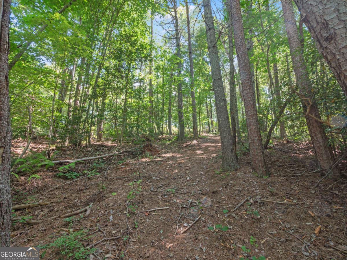 5082 Highway 197 N Clarkesville GA 30523