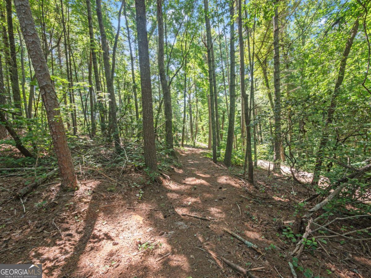 5082 Highway 197 N Clarkesville GA 30523