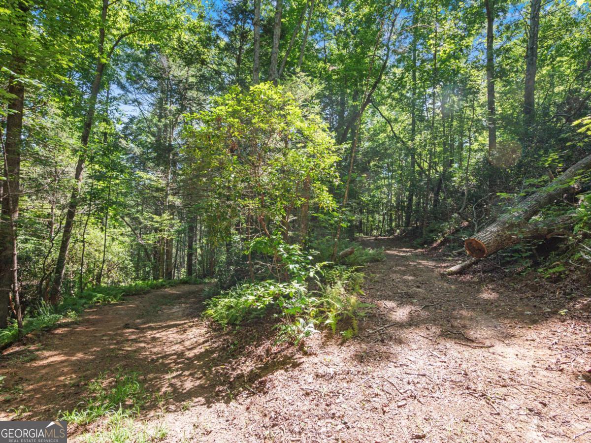 5082 Highway 197 N Clarkesville GA 30523
