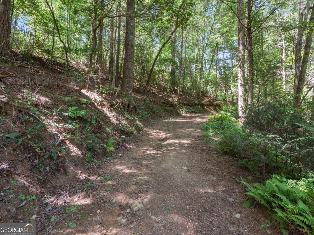 5082 Highway 197 N Clarkesville GA 30523