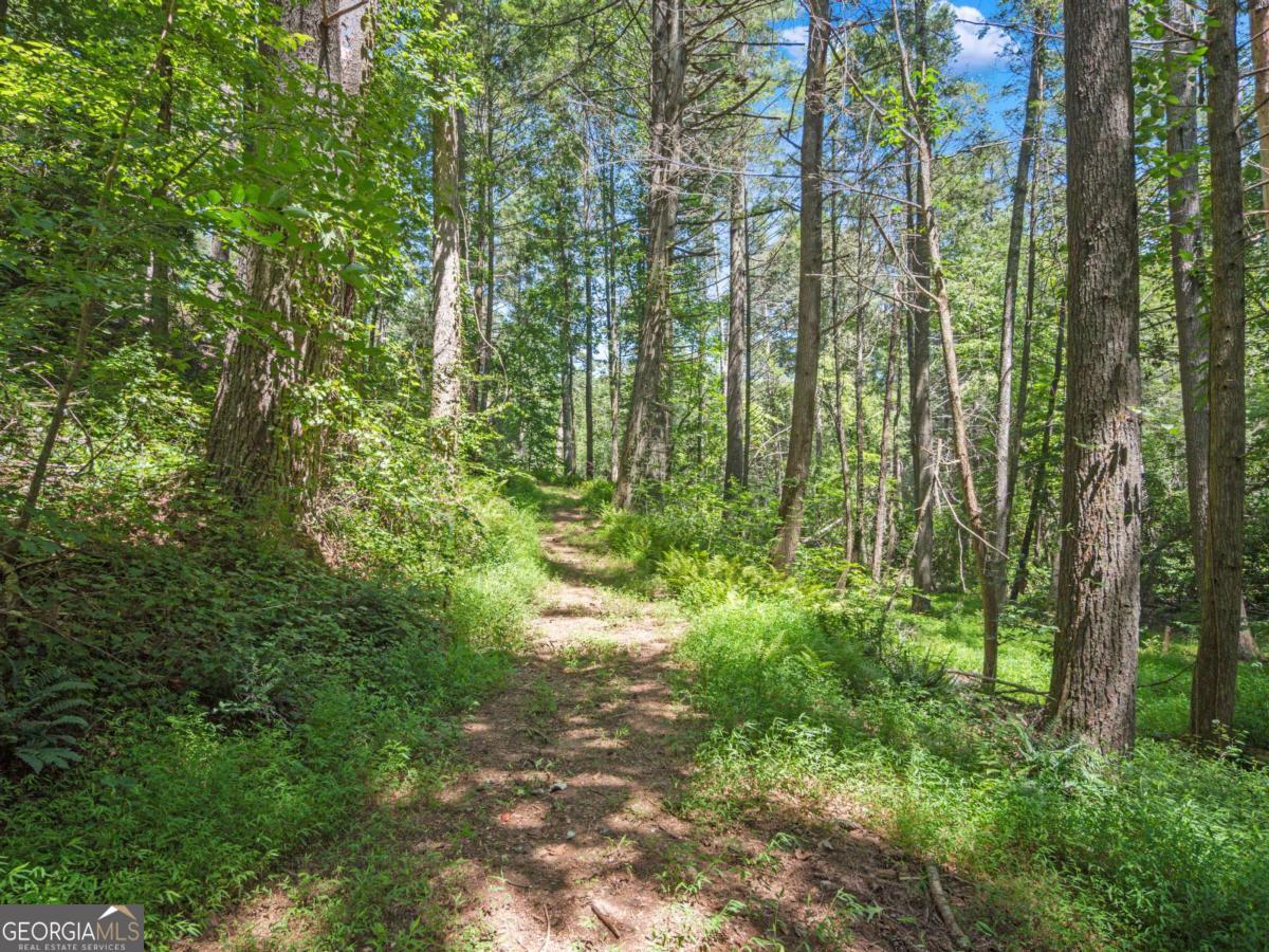5082 Highway 197 N Clarkesville GA 30523