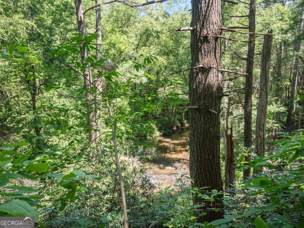 5082 Highway 197 N Clarkesville GA 30523