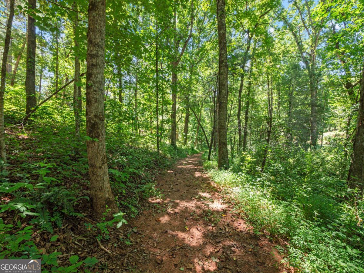 5082 Highway 197 N Clarkesville GA 30523
