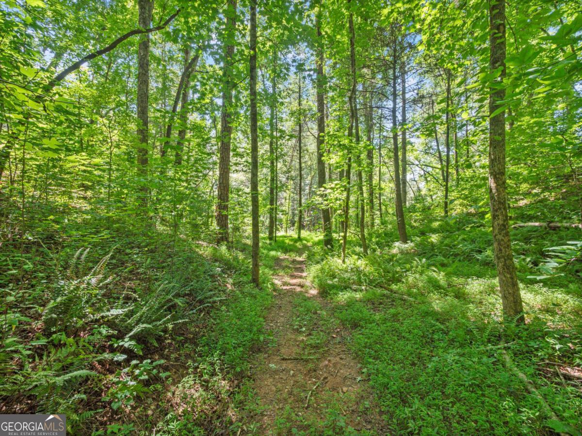 5082 Highway 197 N Clarkesville GA 30523