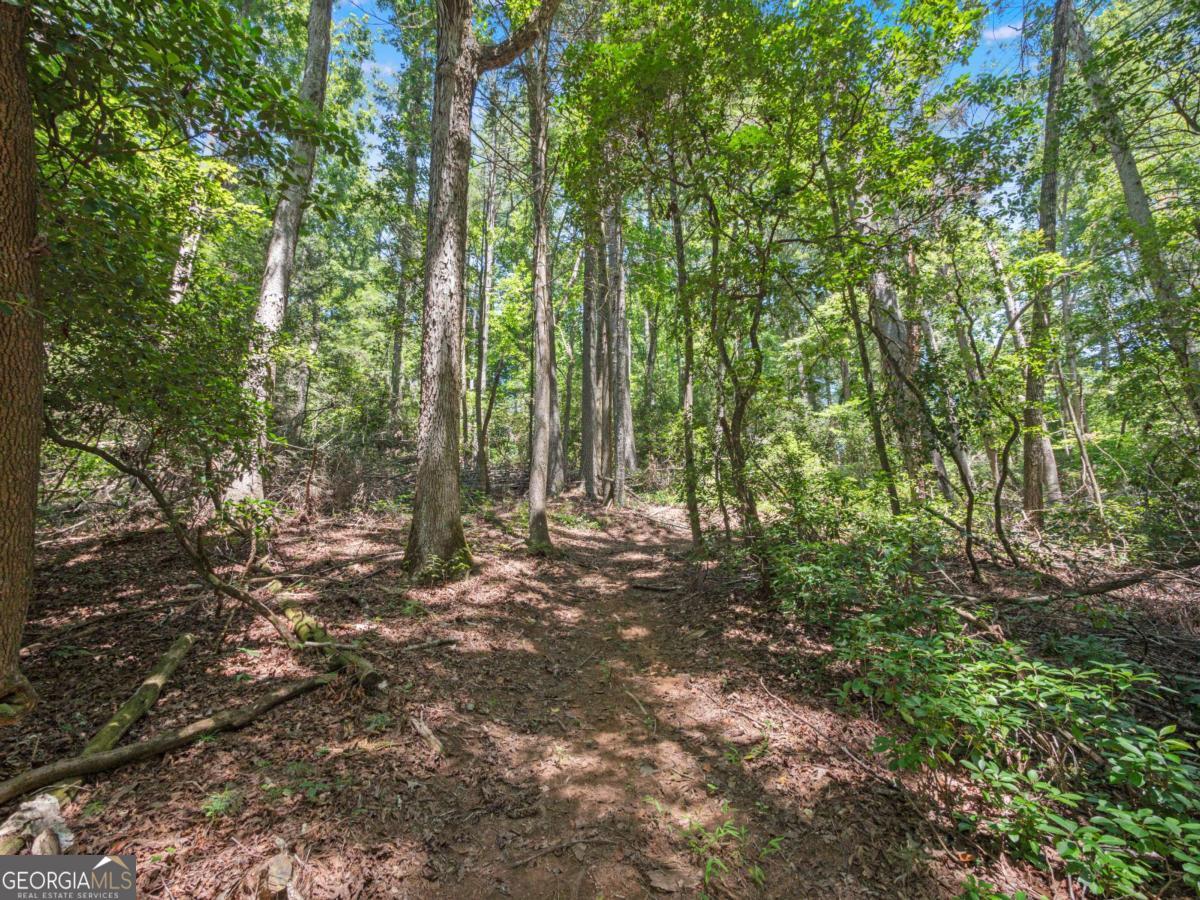 5082 Highway 197 N Clarkesville GA 30523