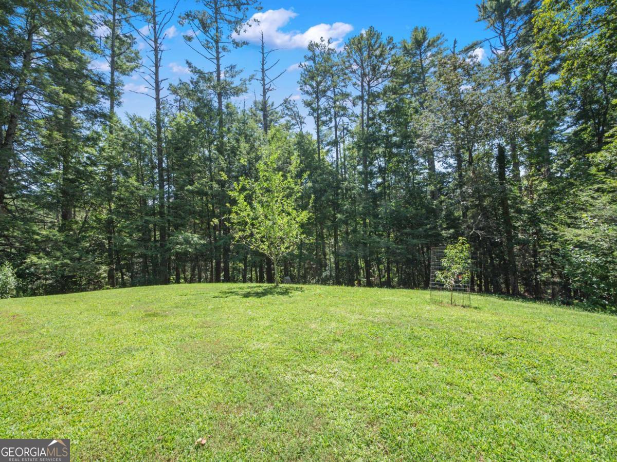 5082 Highway 197 N Clarkesville GA 30523